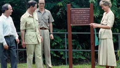 Photo of Princesa Diana plantou árvore de castanha do Pará em viagem a Parauapebas, nos anos 90