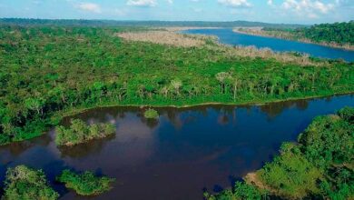 Photo of Nosso norte – Economia