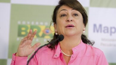 Photo of Senadora Kátia Abreu é diagnosticada com Covid-19
