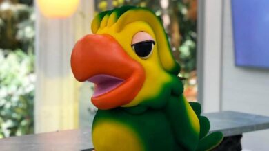 Photo of Boneco de ‘Louro José’ é guardado pela última vez na Globo
