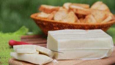 Photo of Produção do queijo artesanal do Marajó recebe premiação internacional