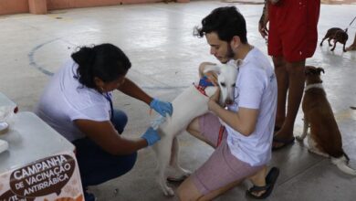 Photo of Sesma promove vacinação em cães e gatos neste sábado, 7