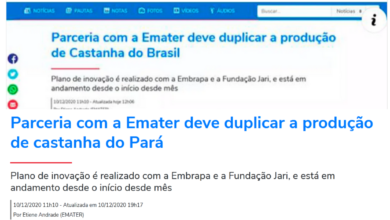 Photo of Após matéria do parawebnews, governo do PA corrige e coloca “Castanha do Pará”