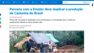 Photo of Site do governo do PA usa “Castanha do Brasil” ao invés de “Castanha do Pará”