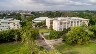 Photo of UFPA proíbe alimentação de animais abandonados na instituição