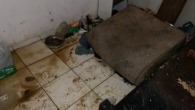 Photo of QUARTO DO TERROR: Mulher é resgatada de cárcere privado onde era mantida pela própria filha em Parauapebas