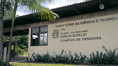 Photo of Pesquisadores ligados ao Museu Goeldi recebem prêmio em nível nacional