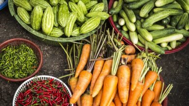 Photo of Emater promove feira de agricultura familiar no estacionamento da Sefa, na quinta-feira, 10
