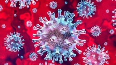 Photo of Ministério da Saúde confirma primeiro caso de reinfecção por covid-19 no Brasil