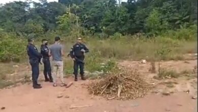 Photo of População encontra corpo de mulher em matagal de Moju
