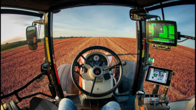 Photo of Empresa abre mil vagas de trabalho no nordeste do Pará
