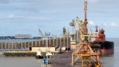 Photo of Exportação: Pará é o estado que mais carregou Brasil nas costas em 2020