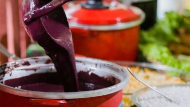Photo of Pesquisadores do Pará identificam no açaí bactérias que garantem segurança alimentar
