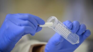 Photo of Nova cepa da Covid-19 é confirmada em Belém e já tem registro de 8 casos