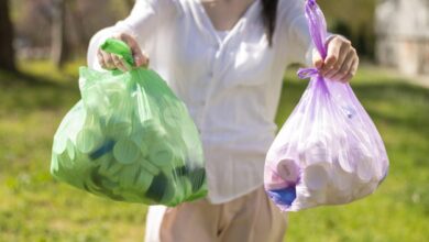 Photo of MP recomenda aos supermercados que não cobrem pelas sacolas biodegradáveis
