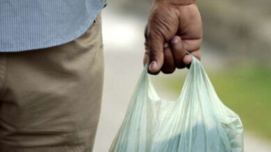 Photo of Deputado propõe mudança em lei que tornou fim obrigatório uso de sacolas plásticas; entenda