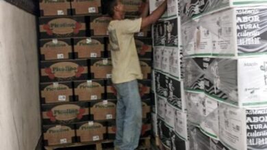 Photo of Sefa apreende mais de 21 toneladas de frutas mil em Conceição do Araguaia
