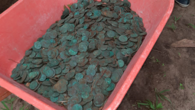 Photo of ‘Tesouro’ achado no Pará inclui moedas de 1816 a 1841, conclui Iphan