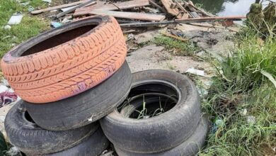 Photo of Barreiro concentra mais da metade dos casos de dengue registrados este ano em Belém