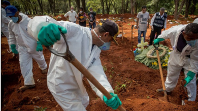 Photo of Presidente de associação do segmento funerário convida Bolsonaro para ser coveiro por um dia e ver a realidade do setor