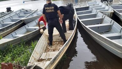 Photo of Polícia Federal cumpre mandados de prisão e de busca e apreensão contra organizações criminosas de tráfico de peixes