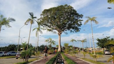 Photo of Parque do Utinga retorna ao funcionamento normal com medidas de prevenção à Covid-19