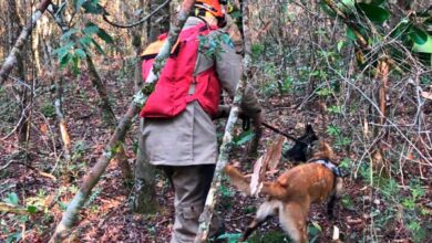 Photo of Após três dias perdido na mata, homem é encontrado na divisa entre PA e MT