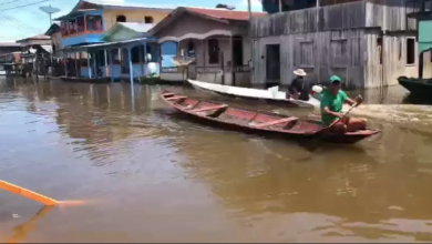 Photo of Cheia afeta 455 mil pessoas e deixa 25 cidades em estado de emergência no Amazonas