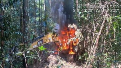 Photo of PF estoura garimpo ilegal em terra indígena e queima máquinas no PA