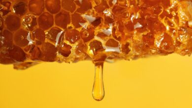 Photo of Rota do Mel será formalizada no Pará