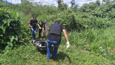 Photo of Pescador encontra cadáver degolado e com membros amarrados em Parauapebas