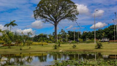 Photo of Programe-se para o feriado. Veja o que abre e fecha nesta quinta-feira