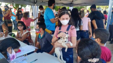 Photo of Marituba terá II Feira de Adoção de Cães e Gatos neste domingo, 13