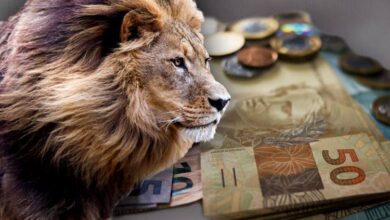 Photo of IRPF 2021: Pará ultrapassa a expectativa da recepção de declarações