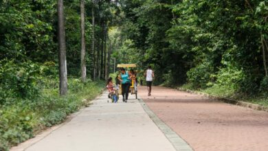 Photo of Parque do Utinga tem liberação gradativa de exercícios ao ar livre