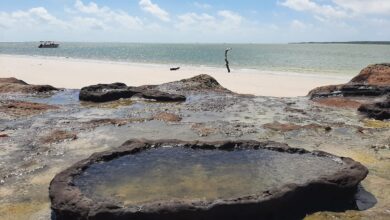 Photo of Conheça a Ilha do Pilão, paraíso escondido no litoral do Pará