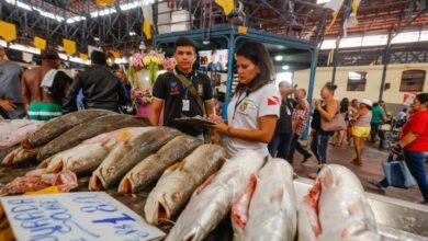 Photo of Belém lidera produção nacional de pescado