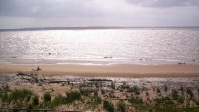 Photo of Praias da Brasília e do Cruzeiro estão impróprias para banho