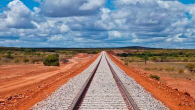 Photo of Delegação internacional de ativistas e políticos de esquerda virá ao Brasil pressionar contra Ferrogrão