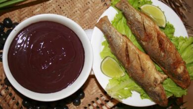 Photo of Pará entre os estados mais felizes do Brasil, diz estudo da FGV