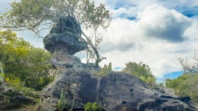 Photo of No Pará: Pedra rara é redescoberta após publicação em rede social
