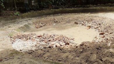 Photo of Obra da prefeitura de Belém estaria aterrando fonte de água do Bosque Rodrigues Alves