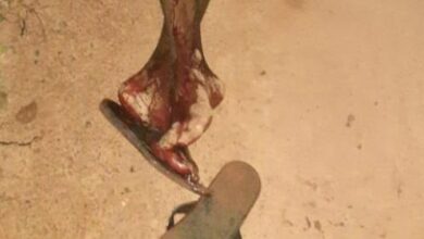 Photo of Em Moju, homem morre com órgãos expostos
