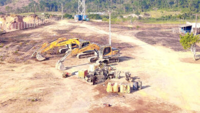 Photo of Operação Samaúma auxilia na apreensão de madeira e maquinário em área desmatada em Novo Progresso