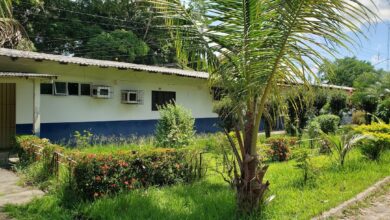 Photo of Movimento República de Emaús anuncia lançamento da 48º Grande Coleta