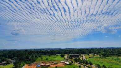 Photo of Nuvens em formato de escama de peixe são registradas por internautas da Grande Belém