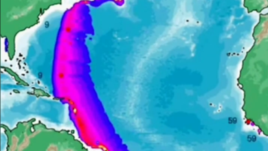 Photo of Simulação mostra como tsunami provocado por vulcão poderia atingir costa do Pará