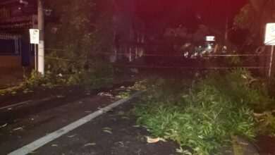 Photo of Trânsito fica interditado na José Malcher após queda de árvore