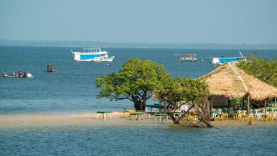 Photo of Alter do Chão é eleita melhor destino turístico nacional em 2021