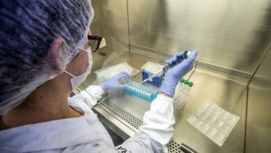 Photo of Confirmado mais três casos da variante Delta no Pará